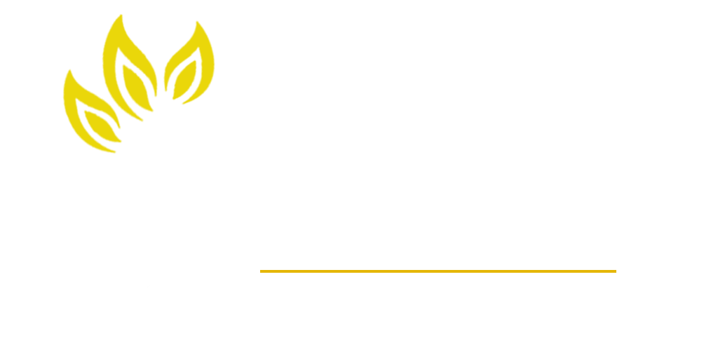 Master the Art of Aari with Sivani Designers